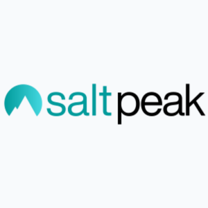 MAP Solutions Group Client - Salt Peak Logo
